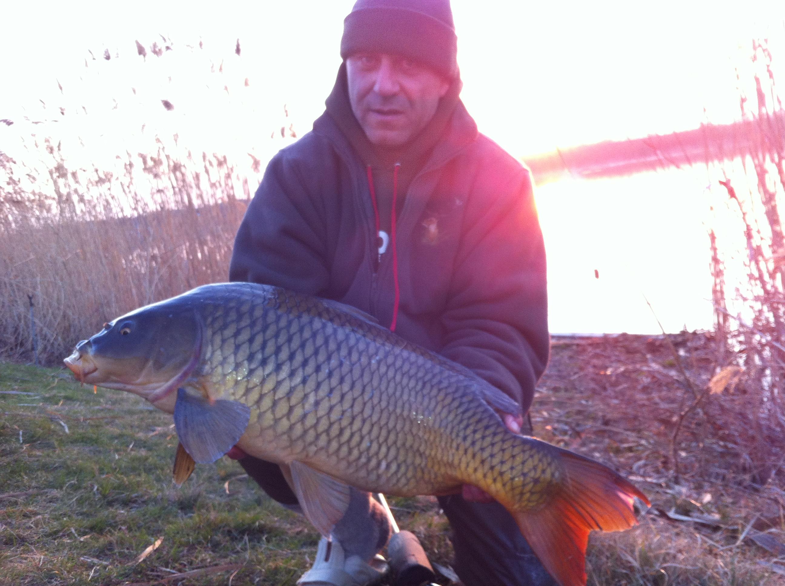 Tancabesti 2012 - aprilie 2012 005.JPG